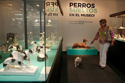 Muestra dedicada a los perros en el Museo de Arte Decorativo. Permiten ingresar con perros reales. La caniche Olivia de seis años recorrio la muestra con su dueño Teo y la madrina Juana.