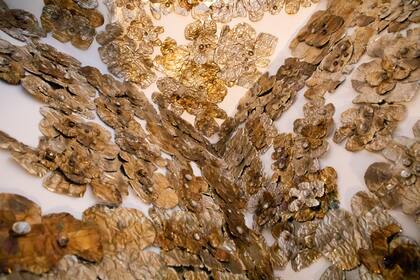 Muestra Memorias del futuro