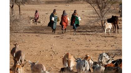 Mujeres Turkana llevan bidones para obtener agua de un pozo