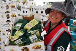 Comida gratis en Orlando: ¿dónde repartirán alimentos sin costo en noviembre 2025?