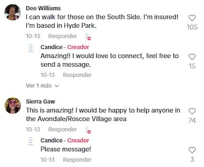 Múltiples usuarios en la red social se ofrecieron como voluntarios para pasear perros en Chicago (TikTok/@westloop_dognanny)