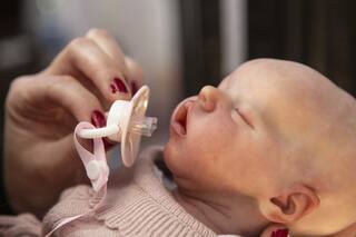 Cómo se confeccionan los muñecos que despiertan amor y odio en las redes sociales y varios famosos ya compraron