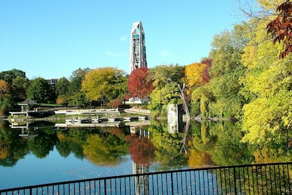 El 74% de las personas que viven en Napperville son propietarios de sus viviendas (Tripadvisor)