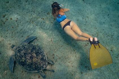 Muntaner dejó la carrera de Farmacia para estudiar la vida marina