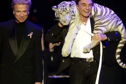 Roy Horn, a la derecha, el integrante del dúo de magos de las Vegas, murió a los 75 años tras contraer coronavirus