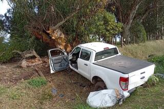 Iba en camioneta a Miramar, perdió el control, chocó contra un árbol y murió una semana después