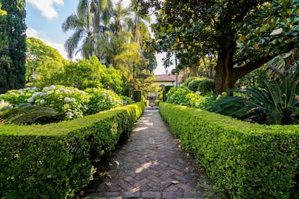 El jardín se extiende a lo largo de casi seis mil metros cuadrados, con arbustos que forman paredes verdes que crean un laberinto natural. 