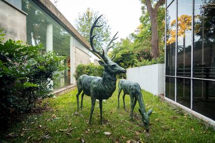 En el Rosedal de Palermo, el Museo Sívori está rodeado de verde y posibilidades para integrar arte y aire libre cuando el protocolo sanitario habilite la reapertura