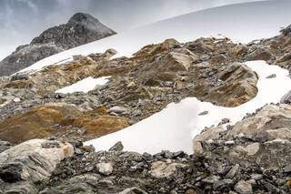 Aparecen plantas entre las piedras desnudas del último glaciar de Venezuela