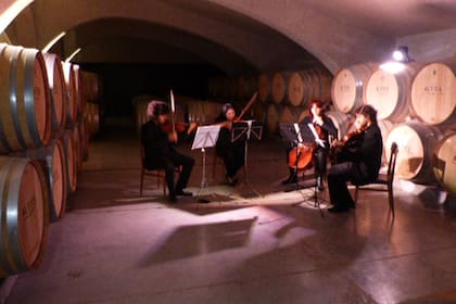 Música de Cámara entre las barricas