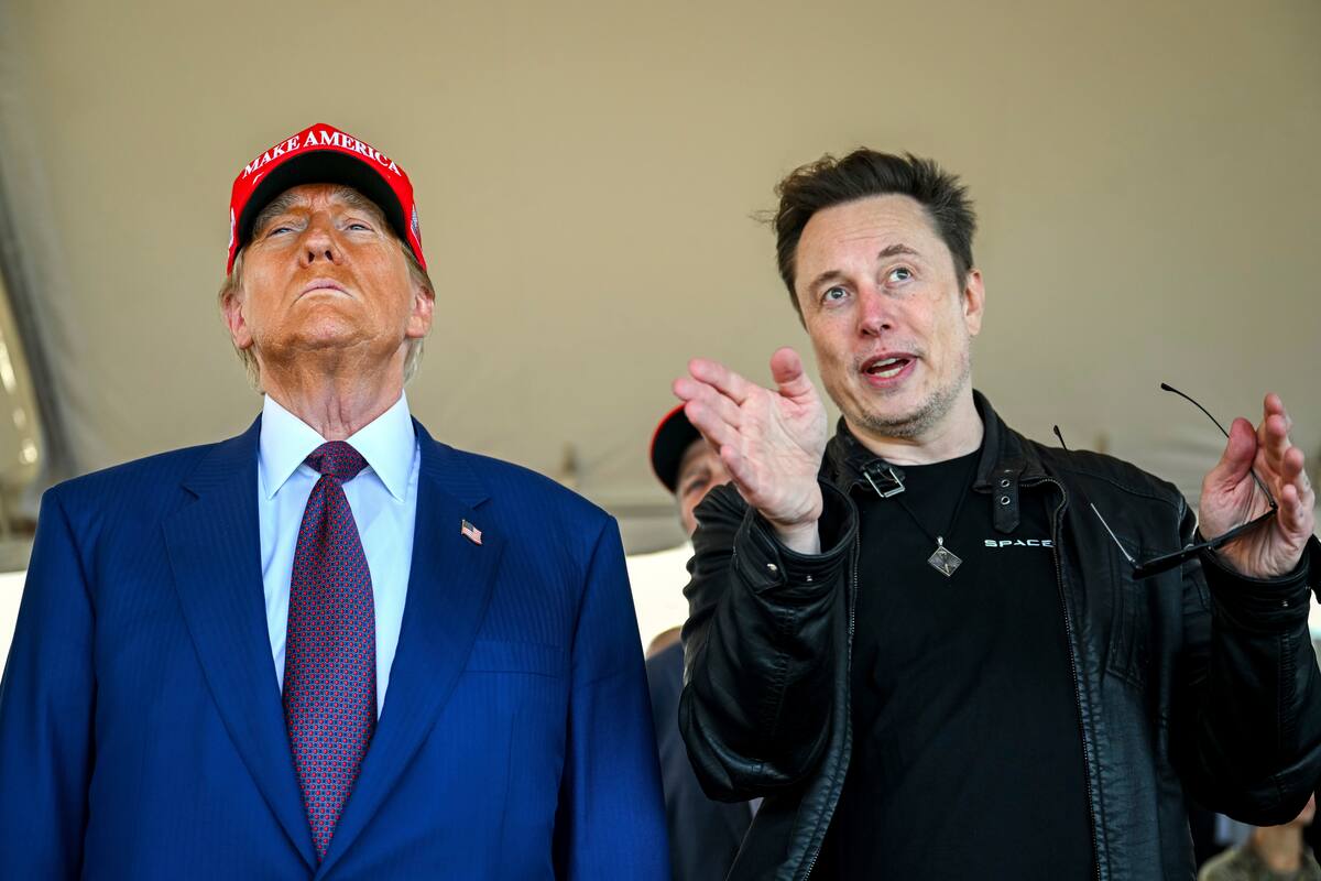 Musk ayudó a ahogar un presupuesto de EEUU. Pero mucho de lo que difundió fue desinformación - LA NACION