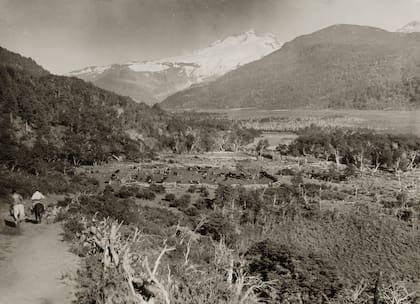 Muy cerca del Puesto Creton, allí Ben Vereertbrugghen llevó parte de su ganado. Circa 1920-1935
