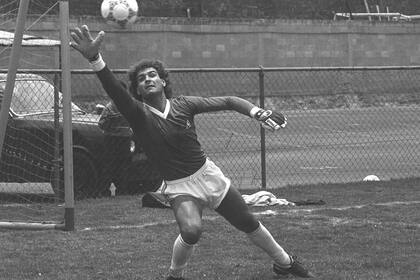 Muy joven debutó Islas en la selección, en 1984, y estuvo en la dos últimas consagraciones de la Argentinas: México 86 y la Copa América de Ecuador 1993