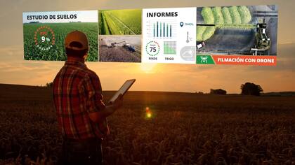 Nacida como una inmobiliaria rural y expertos en ese segmento, desde O´Keefe aseguran que la comercialización de campos será uno de los negocios que más crecerá en 2025.