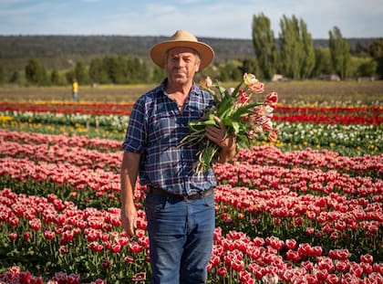 Nacido y criado en Esquel, Juan Carlos Ledesma es el artífice del campo de tulipanes de Trevelin.