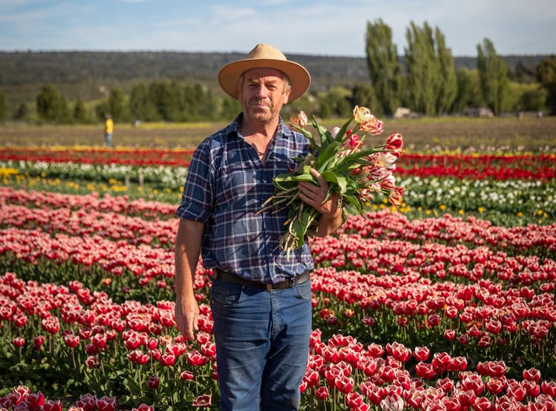 Cascadas y tulipanes: un viaje por la belleza natural de Trevelin