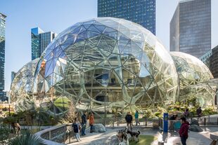 Nada hace intuir que se trata de la sede principal de Amazon. Ni marcas ni casi logos aparecen en el complejo de Seattle