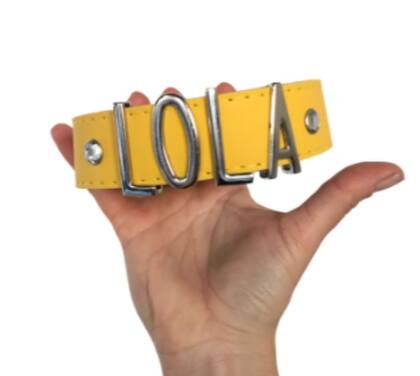 Nada más importante que un buen collar con identificación, para no perder nunca a nuestras mascotas