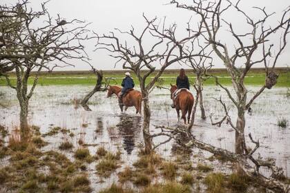 Nadar con caballos por los esteros es una experiencia única para quienes visiten este destino.