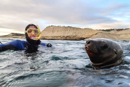 Nadar con lobos marinos es una experiencia inolvidable