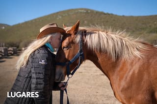Dejó su trabajo en una empresa y hoy es referente de una disciplina novedosa con caballos