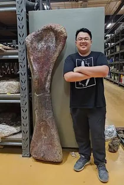 El investigador Thitiwoot Sethapanichsakul junto a un hueso de la pata delantera del nagatitan
