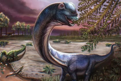 El nagatitán vivió entre hace 100 millones y 120 millones de años