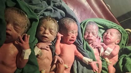 Naif, Ammar, Munzir, Nazira y Ansar, los "cinco bebés milagro"