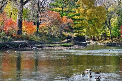 Naperville Riverwalk, un espacio ideal para disfrutar de la naturaleza en las cercanías de Chicago.