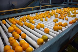 Economías regionales: cuáles están en riesgo de extinción