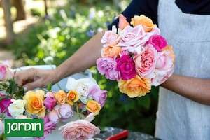 9 variedades de las flores más románticas del jardín