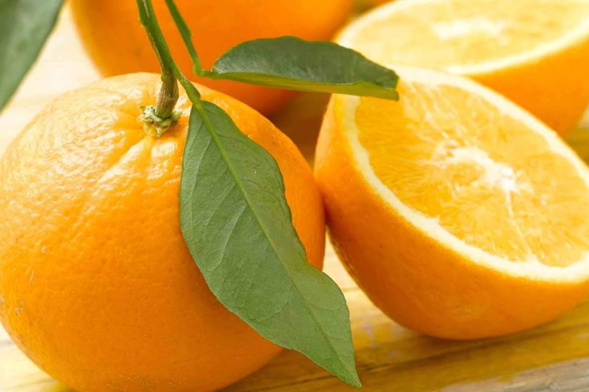 ¡Protege tus Riñones con Naranjas! Descubre los Beneficios Sorprendentes de esta Fruta para tu Salud Renal