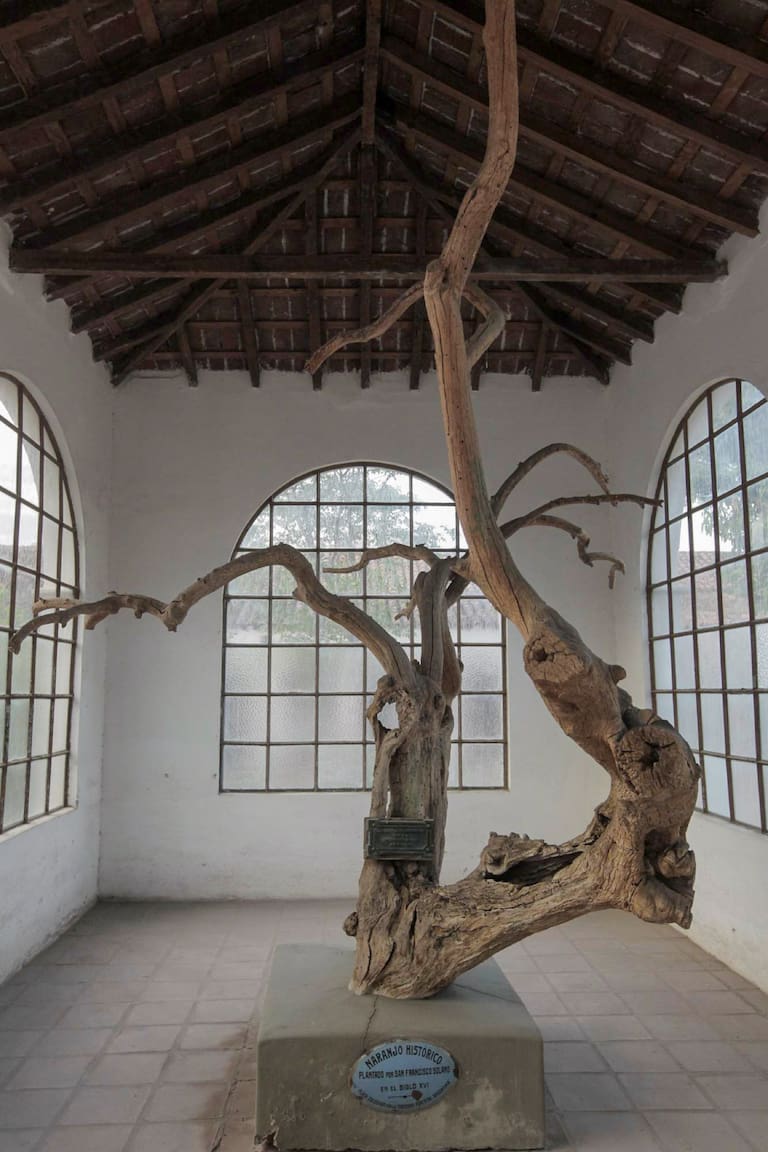 .naranjo de La Rioja