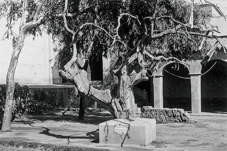.Naranjo de La Rioja, foto de 1935