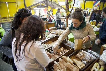 Hongos y semillas también forman parte de la oferta natural en El Galpón