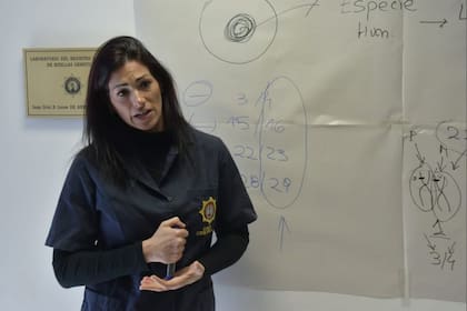 Natalia Sandberg fue la encargada de desarrollar la técnica innovadora que dio con el presunto asesino de Lola Chomnalez