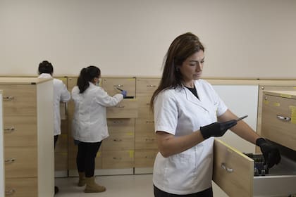 Natalia Sandberg, la genetista que "dio vuelta" el caso. (Foto: Leo Mainé, gentileza El País)