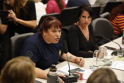 Natalia Zaracho, diputada de UP