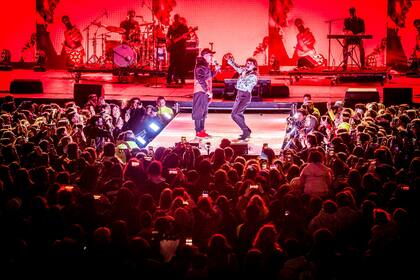 Natalie Pérez y el Mono de Kapanga