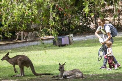 Natalie Portman, de vacaciones en Australia, visitando un zoológico junto a su familia