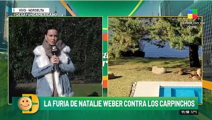 Natalie Weber habló sobre la presencia de los carpinchos en Nordelta (Foto: Captura de TV /América)