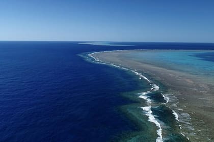 Encontrar un nuevo arrecife de medio kilómetro de altura en la Gran Barrera de Coral muestra lo misterioso que es el mundo