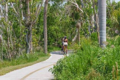 Naturaleza exhuberante, en Fort Myers, Florida