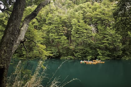 Naturaleza y aventura en el Parque Nacional Los Alerces