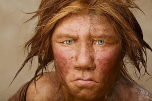 ¿Es esta la escalofriante causa detrás de la desaparición de los neandertales?