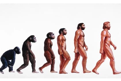 La historia de la tranquila marcha de nuestra especie a través de la evolución tendrá que ser reescrita, dicen los científicos.