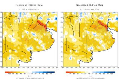 Necesidad hídrica para soja y maíz