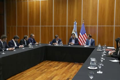 Neil Herrington, vicepresidente de la Cámara de Comercio de Estados Unidos, se reunió con Darío Genua, secretario de Innovación, Ciencia y Tecnología de la Nación.