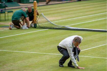 Durante el torneo, Stubley, el jefe de jardinería de Wimbledon, se levanta a las 5.30 y está en cada detalle.
