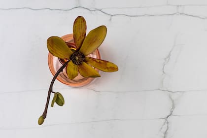 Neolith "Mont Blanc", en grandes paños que se asemejan al mármol por el dibujo de sus vetas.